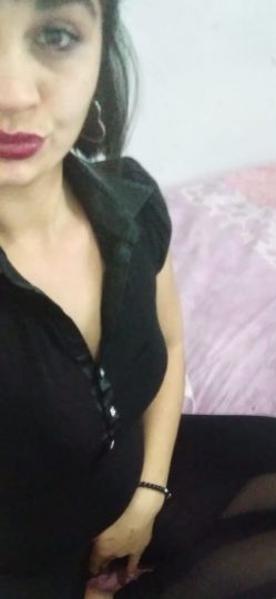 Paloma ZN