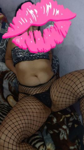 Paloma ZN