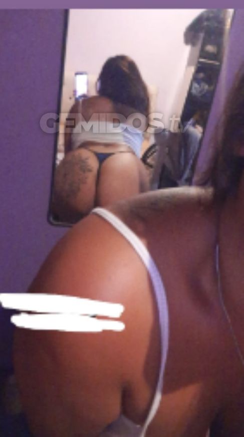 Violeta ZN